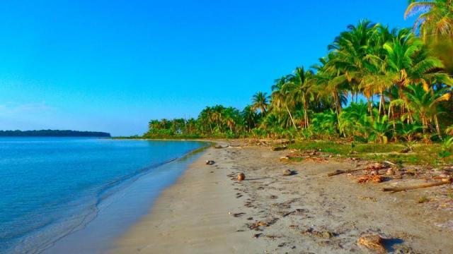 Guía de Bocas del Toro, el paraíso caribeño de la costa de Panamá